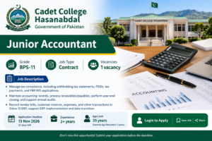 Junior Accountant Jobs 2026
